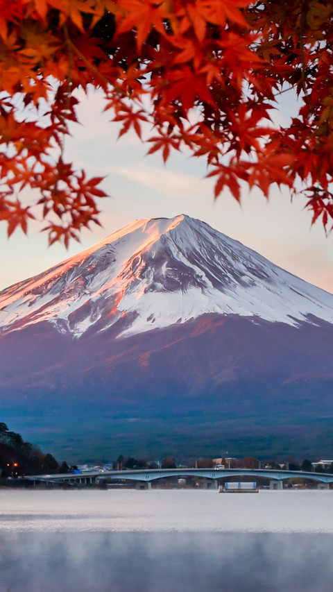Mount Fuji Morning Mist and Red Maple Trees screenshot