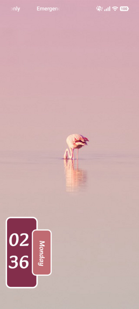Pink Drift screenshot