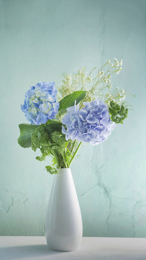 Hydrangea always doesnt bloom 10 screenshot