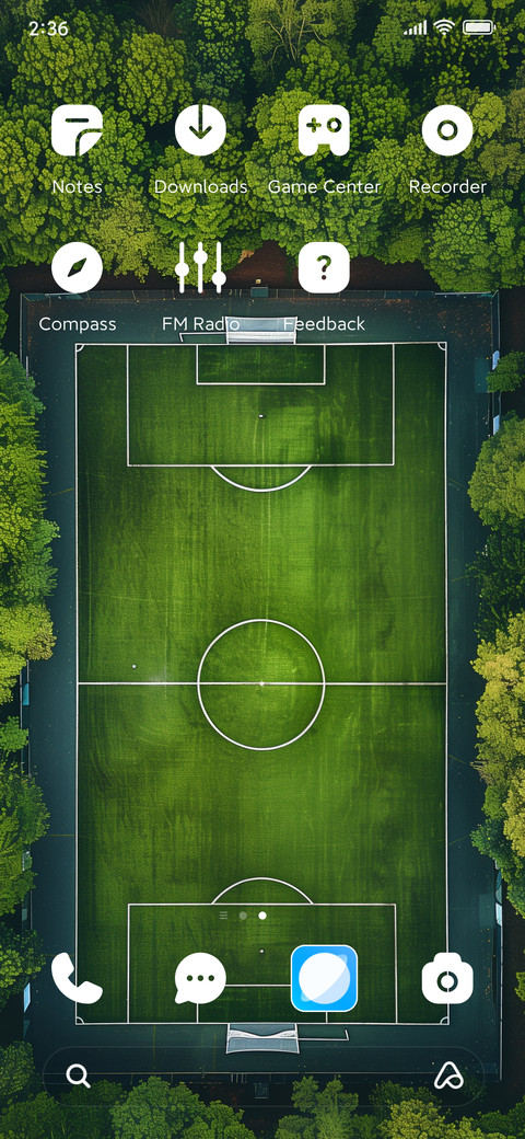 A ball park screenshot