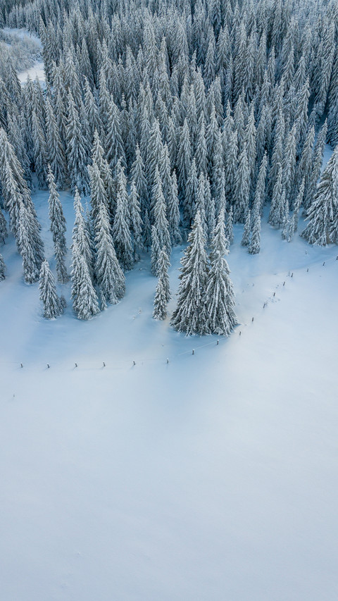 Winter beauty screenshot