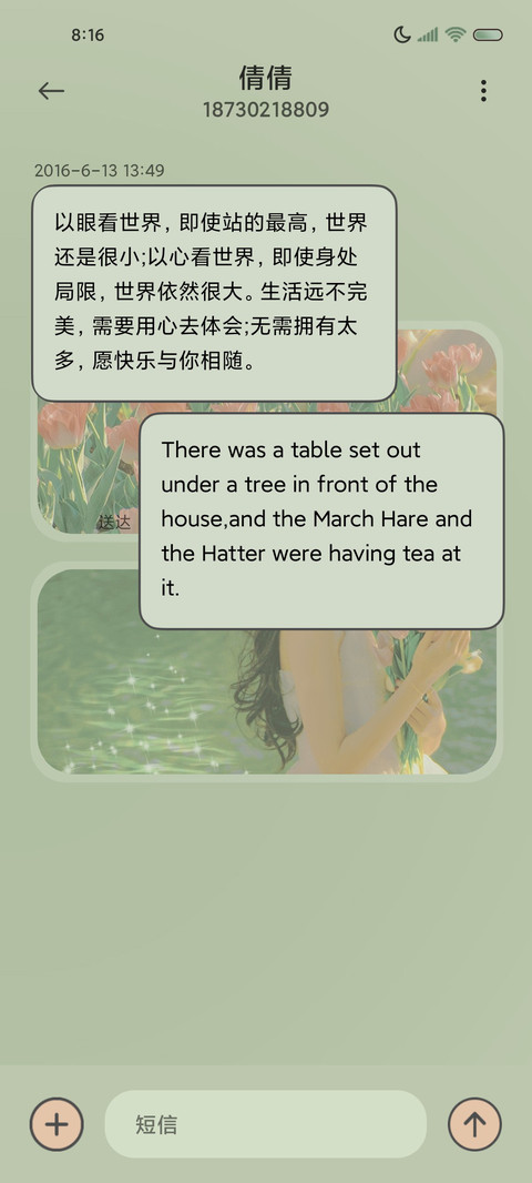 春日郁金香组件 screenshot