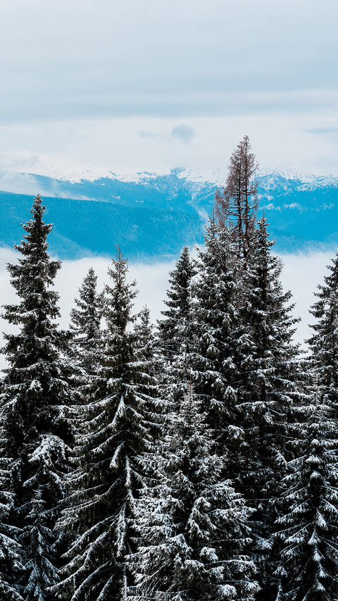 Winter scenery-06 screenshot