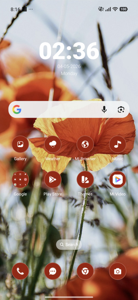 Red Poppies screenshot