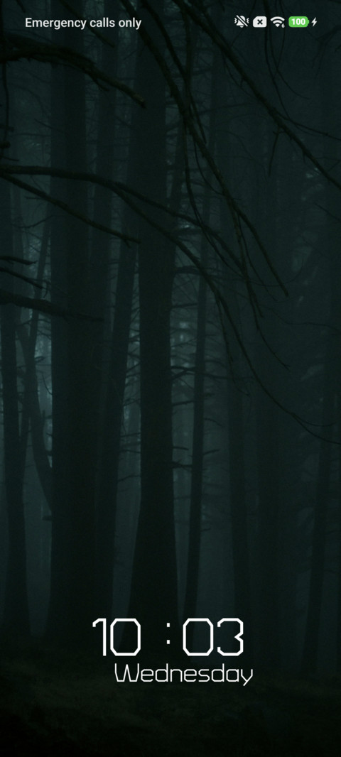 Misty Hollow screenshot