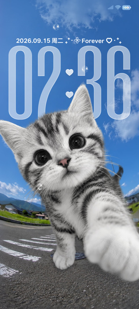 简约3D 萌猫来袭 screenshot