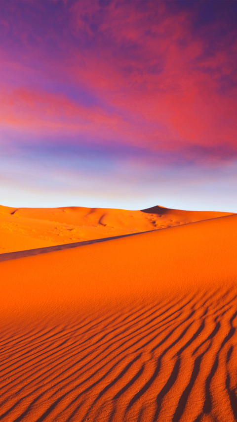 Pure desert screenshot