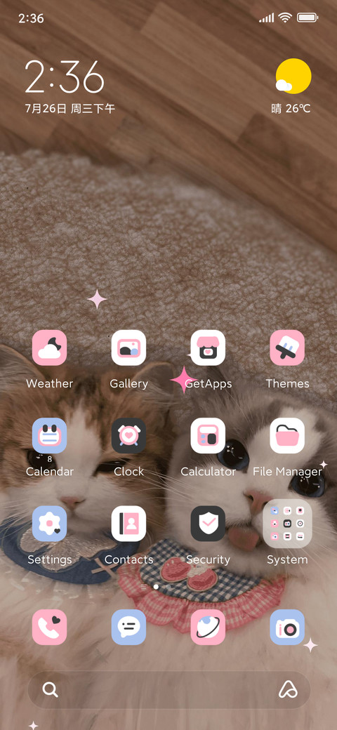 Ins cute cat screenshot