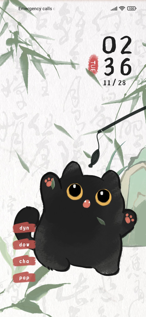 Chinese Black Cat screenshot