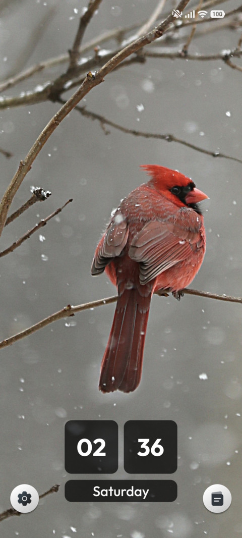 Scarlet Perch screenshot