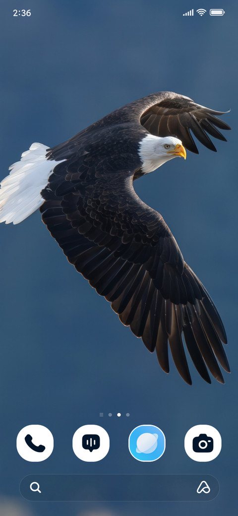 Soaring Eagle screenshot