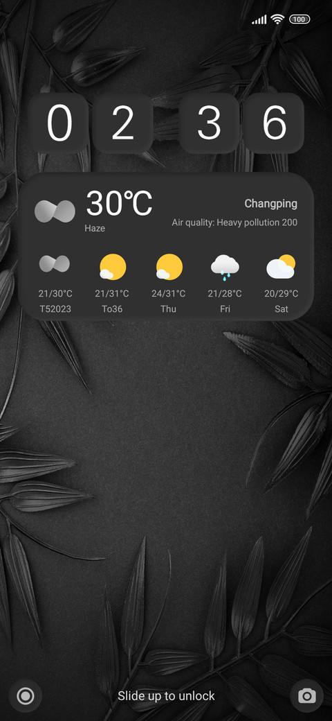 Black Leaves screenshot