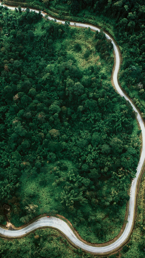 Forest Road screenshot