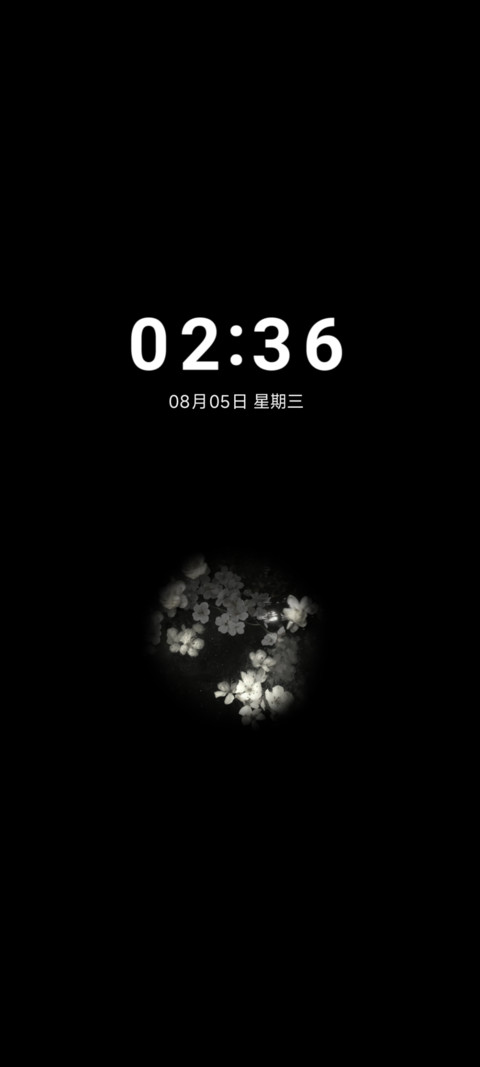 景深重感 夜涧白花 screenshot