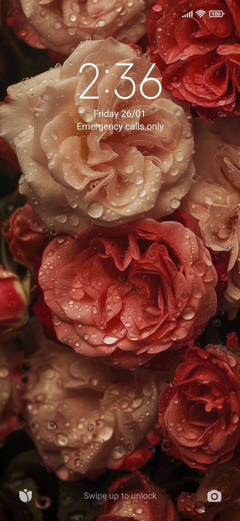 Drop rose screenshot