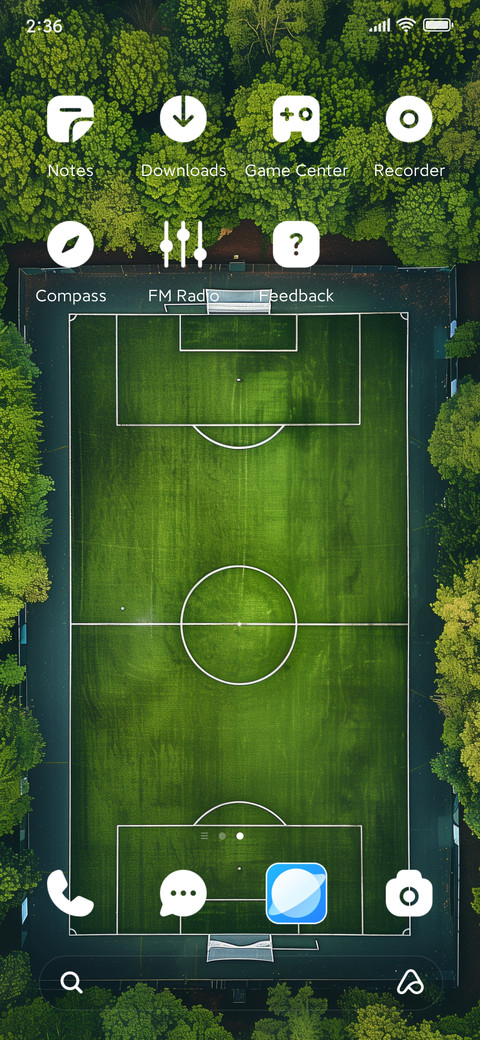 A ball park screenshot