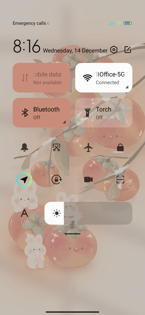 Sweet persimmon screenshot