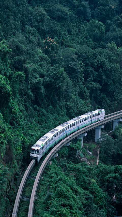 The Train of Chongqing Light Rail Line 2 Crosses the Forest screenshot
