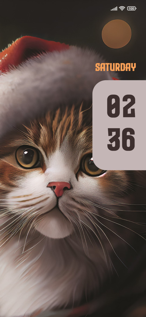 Cat screenshot