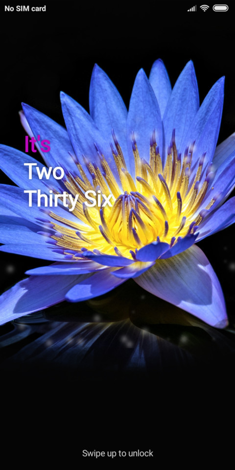 Flower_DWM19 screenshot