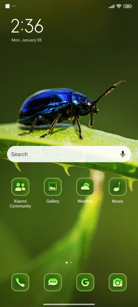 leaves beetle screenshot
