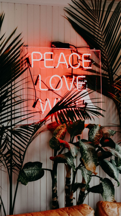 International Peace (17) screenshot