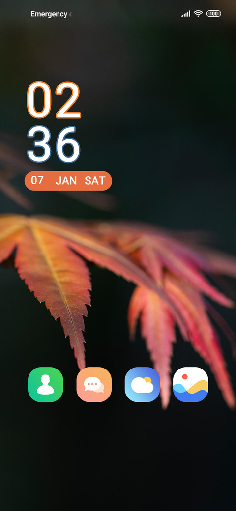 Red maple screenshot