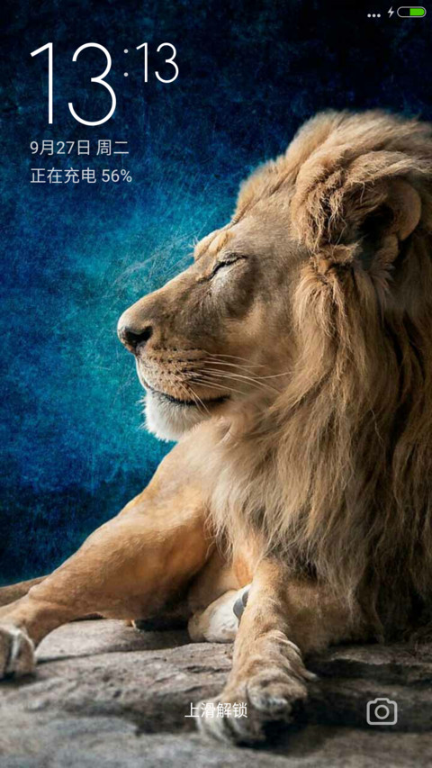 Lion screenshot