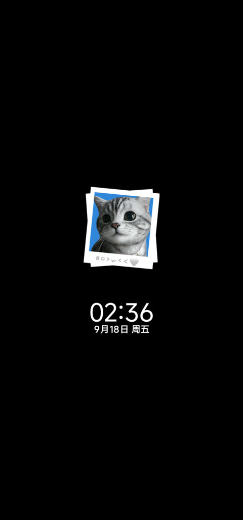 ins蓝调 小猫曲 screenshot