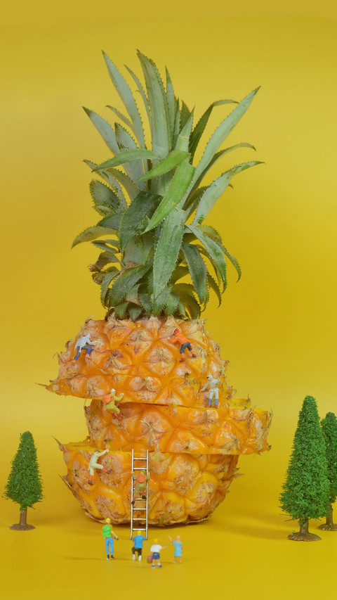 The difference between pineapple and pineapple screenshot