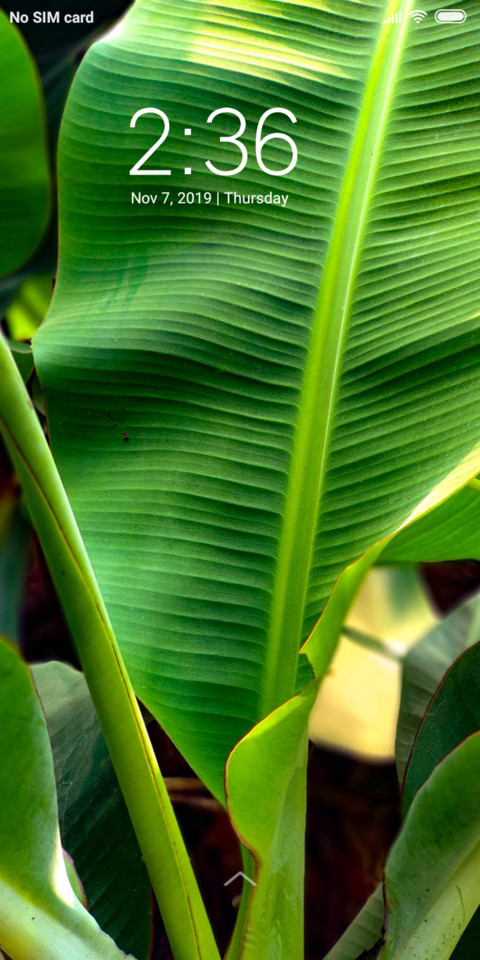 Banana Leaves_DWM3 screenshot