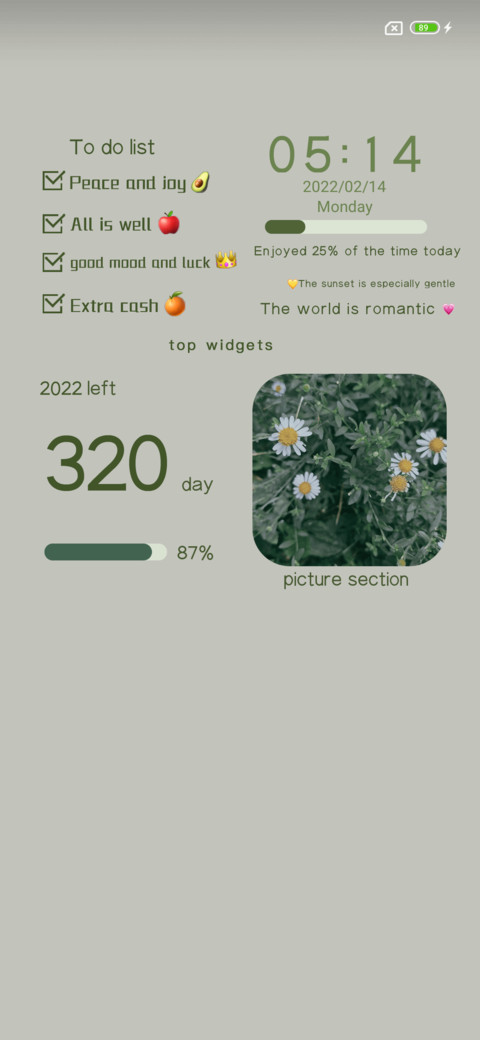 Wizard screenshot