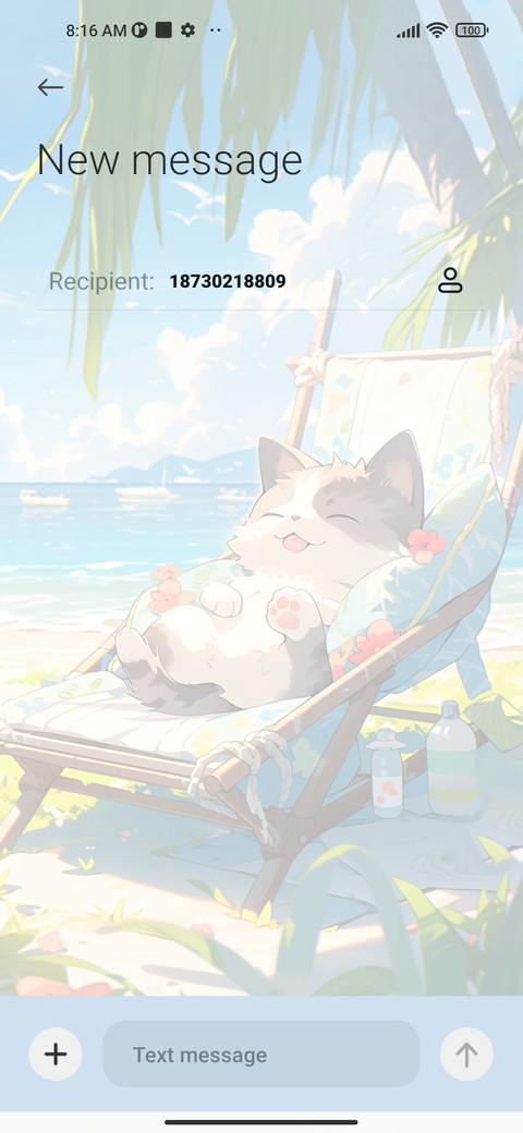 Beach+Cat screenshot