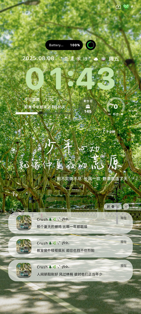 人间盛望双署名 screenshot