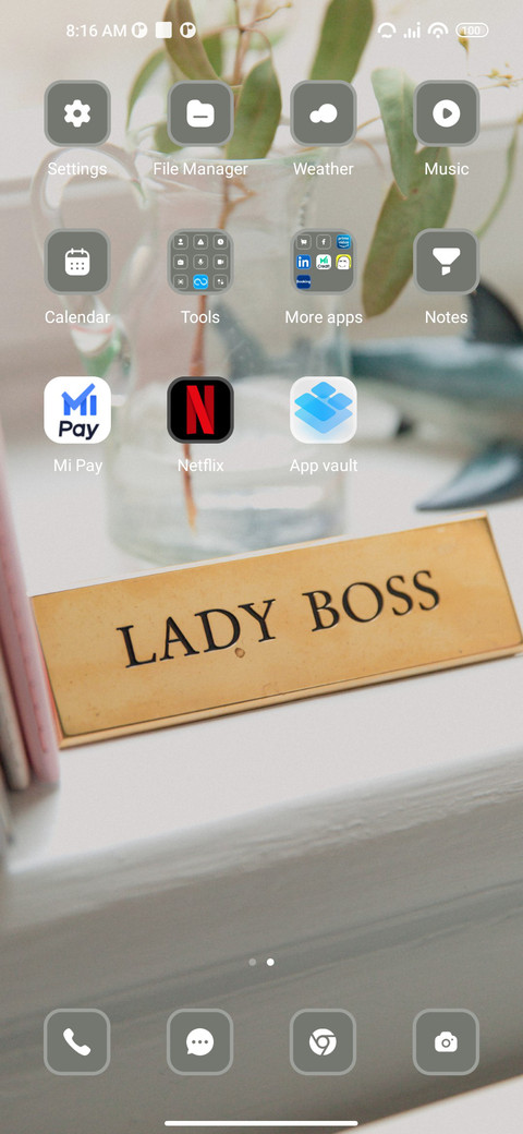 ladyboss screenshot