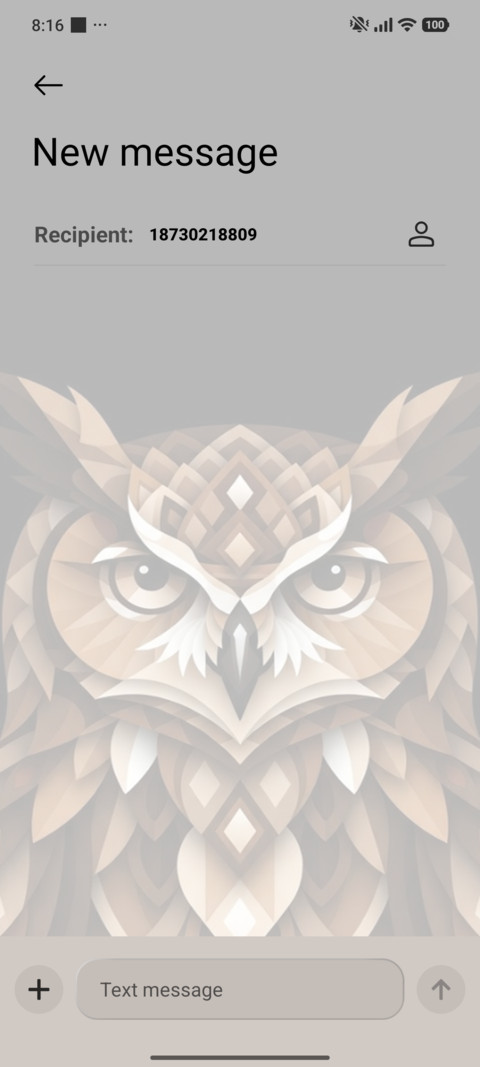 Owl Wisdom screenshot
