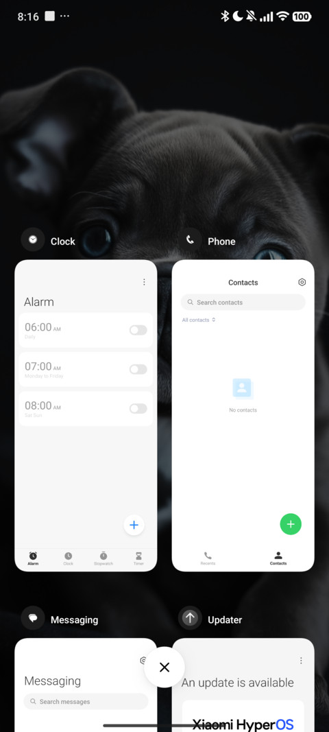 Black Dog screenshot