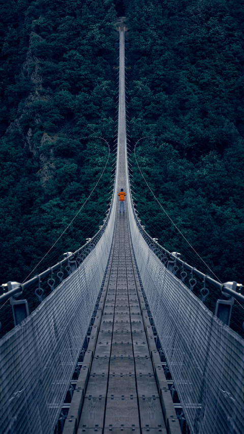 Cable-stayed bridge over Mount Hunsrück screenshot