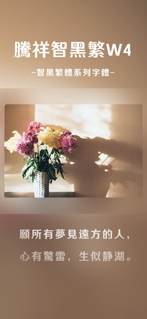 腾祥智黑繁W4 screenshot