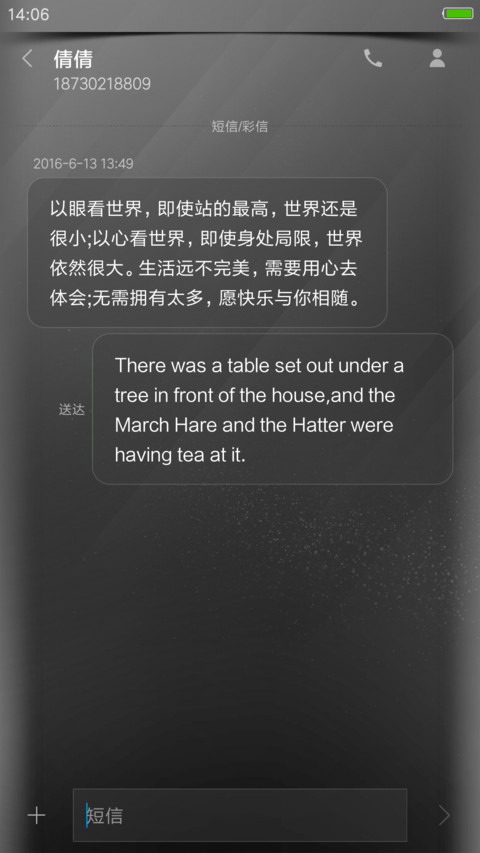 简黑UI screenshot