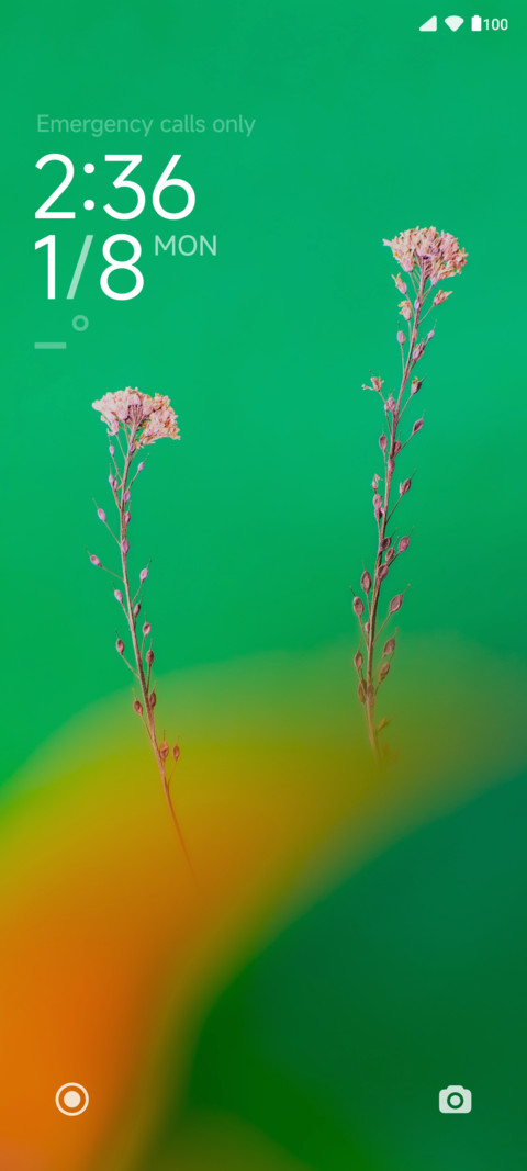 Flat Green screenshot