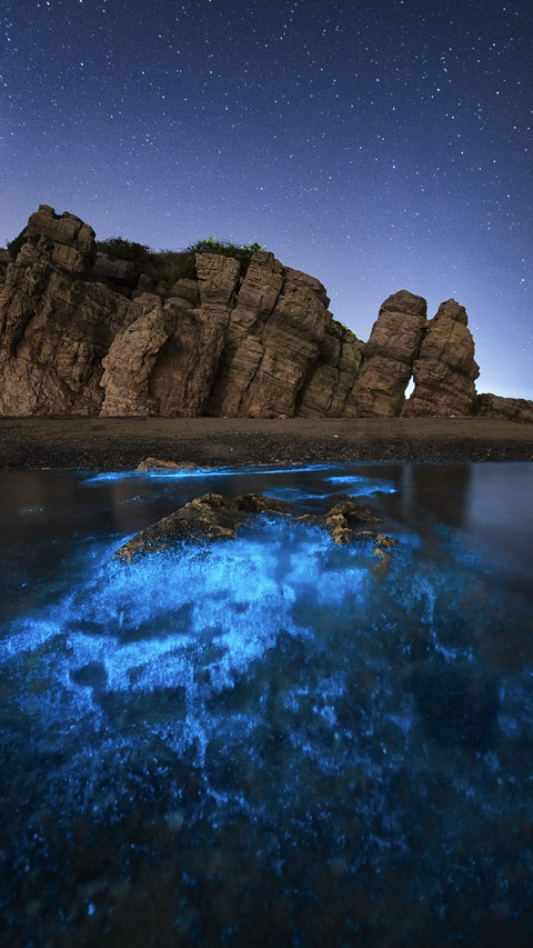 探秘网红“荧光海滩” screenshot