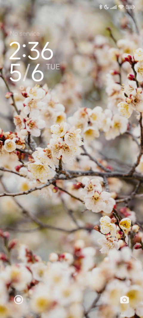 White Flowers screenshot