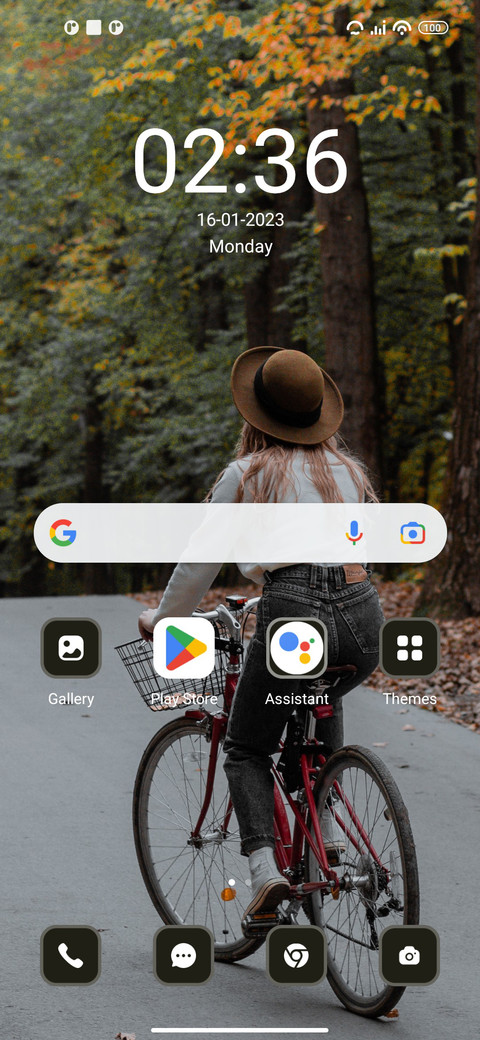 Bicycle screenshot
