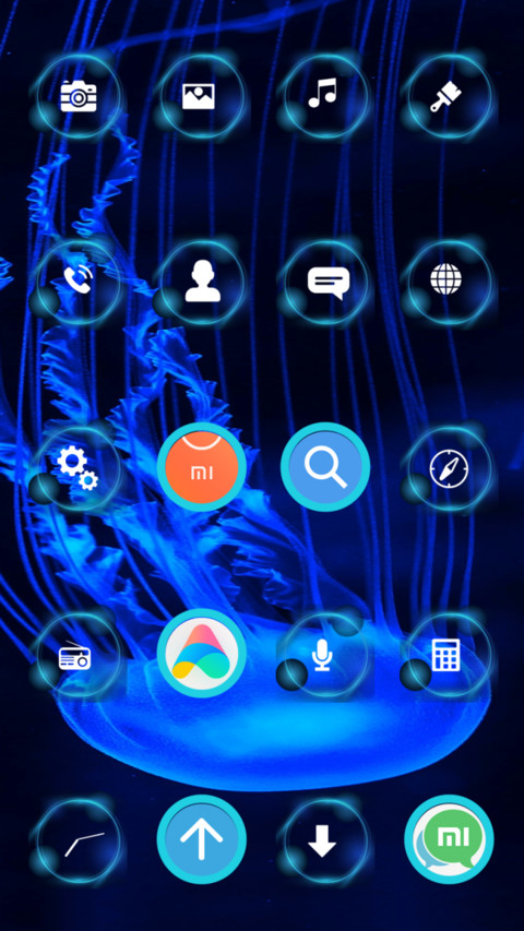JellyFish_3MDP screenshot