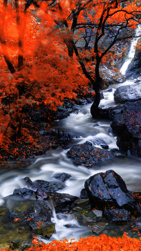 No pile of red leaf lines 21 screenshot