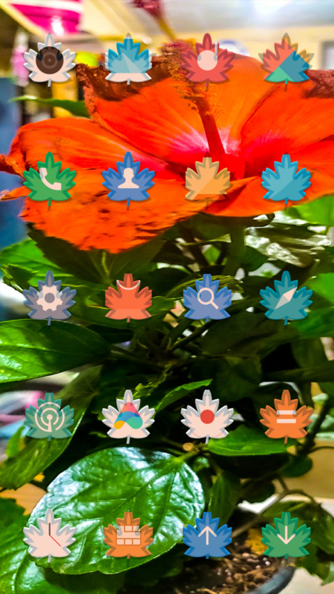 Orange Flowers_DWM3 screenshot