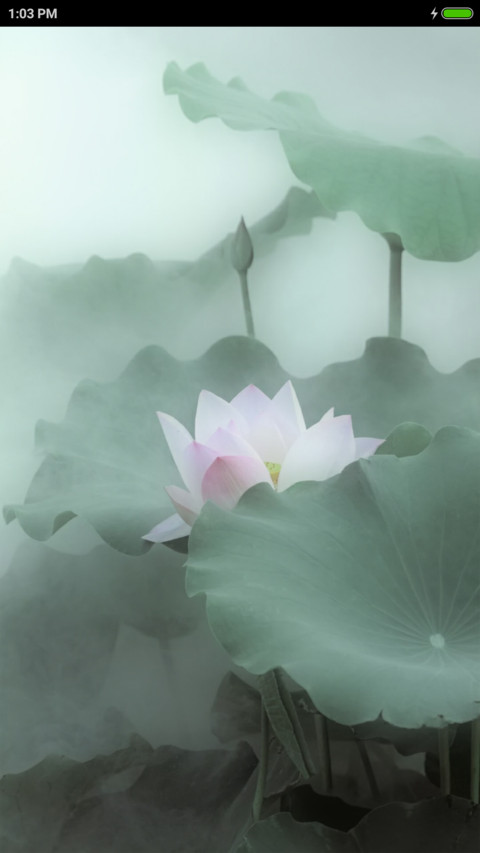 Hà Hoa Luyến screenshot