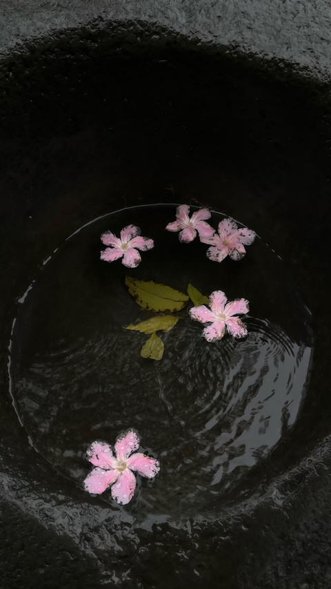 花事闲情 screenshot