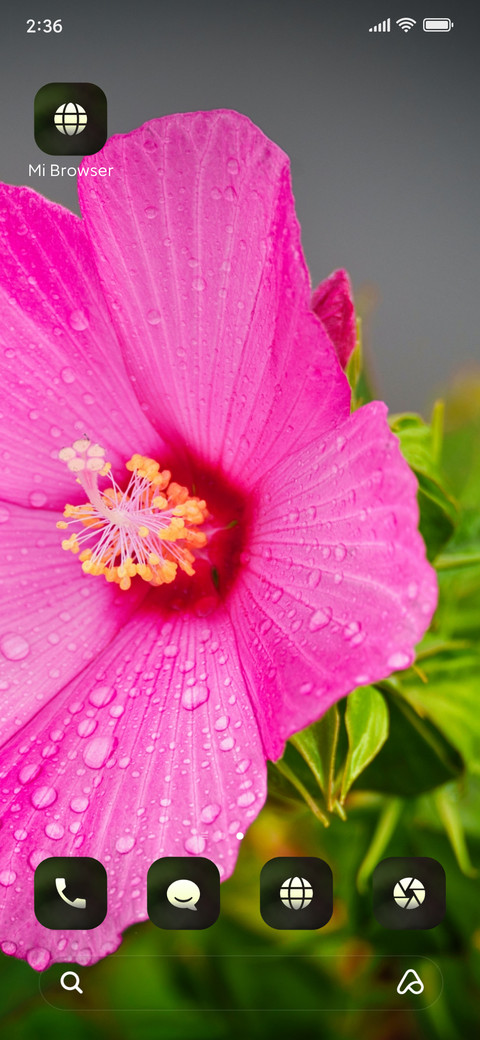 FLower_hope screenshot